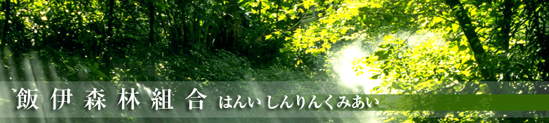 �шɁi�͂񂢁j�X�ёg��